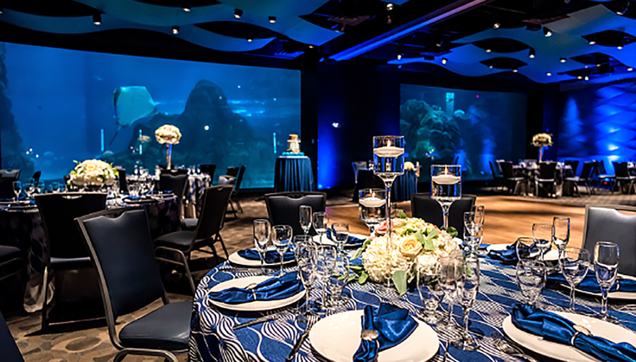 Event space lighting, decorated tables featuring floral centerpieces and candles, large aquarium backdrop.